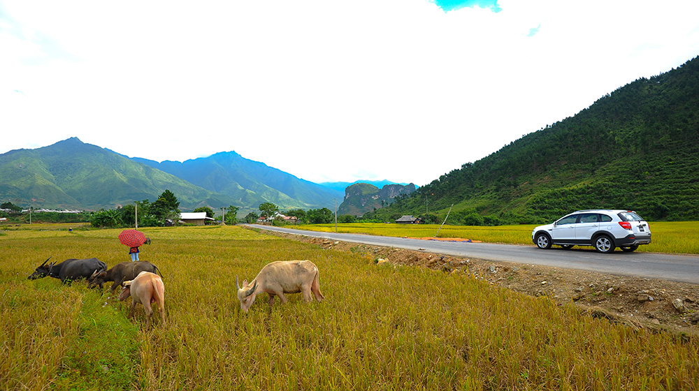 Đánh giá Chevrolet Captiva LTZ 2014 qua hành trình 1000km CaptivaLTZ-2014-(49).jpg