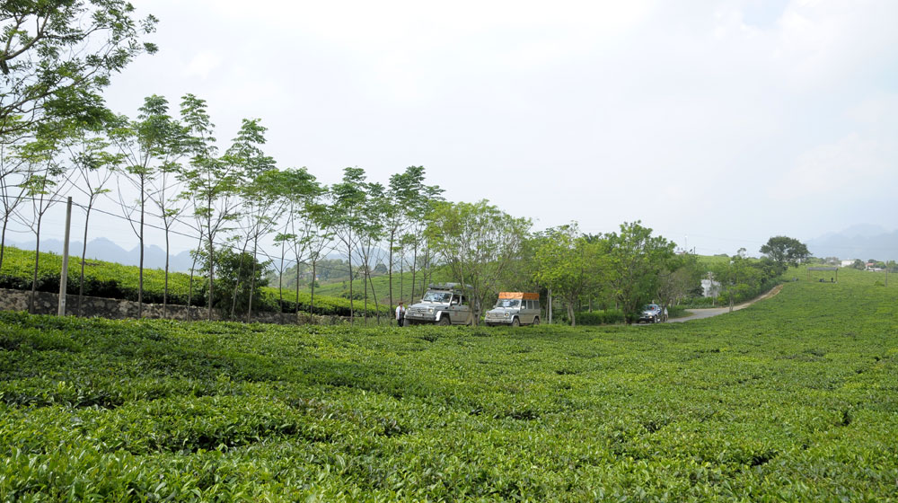 Ngày 2 hành trình cùng các “bạn” Mercedes G-Class trên đất Việt Mercedes-Benz-G-Class-Caravan-Day2 (10).jpg