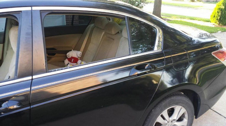 Lam Trường bị đập kính xe, “chôm” đồ trên đất Mỹ 10373798_10152845571909189_622365563489156949_n.jpg