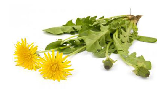 10 cải tiến công nghệ lốp xe trong tương lai fotolia_19538371_l.jpg