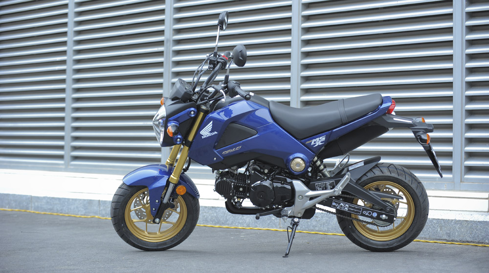 Honda MSX 125 bắt nguồn từ đâu? Honda-MSX125 (1).jpg
