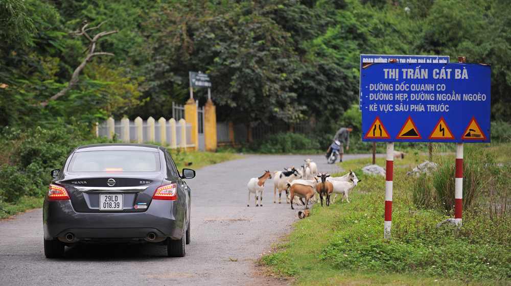 Cùng Nissan Teana 2.5SL đi tìm gió biển chớm đông Nissan Teana 2014 (40).jpg