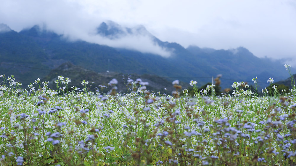 Outlander Sport trên cung đường cảm xúc Mitsubishi Outlander Sport 2015 (63).jpg