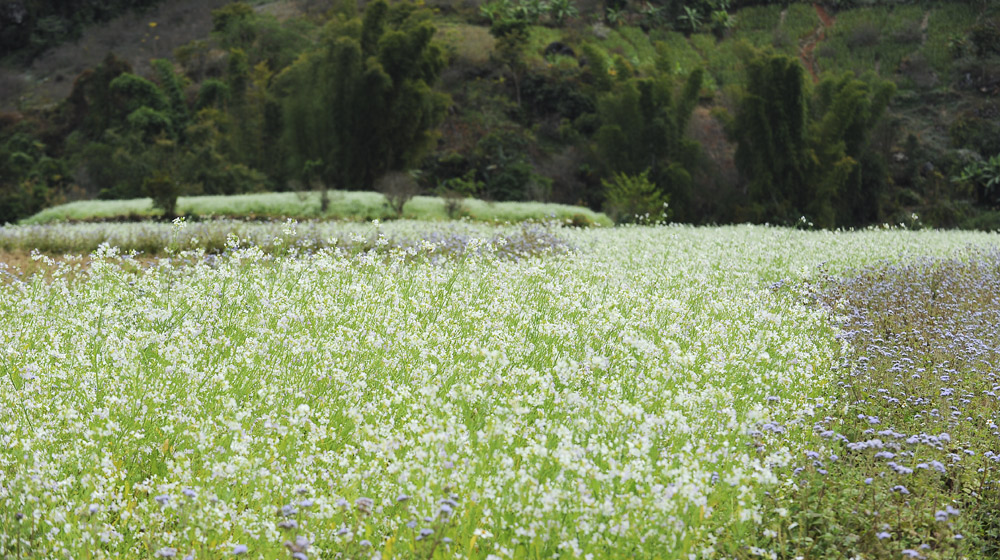 Outlander Sport trên cung đường cảm xúc Mitsubishi Outlander Sport 2015 (64).jpg