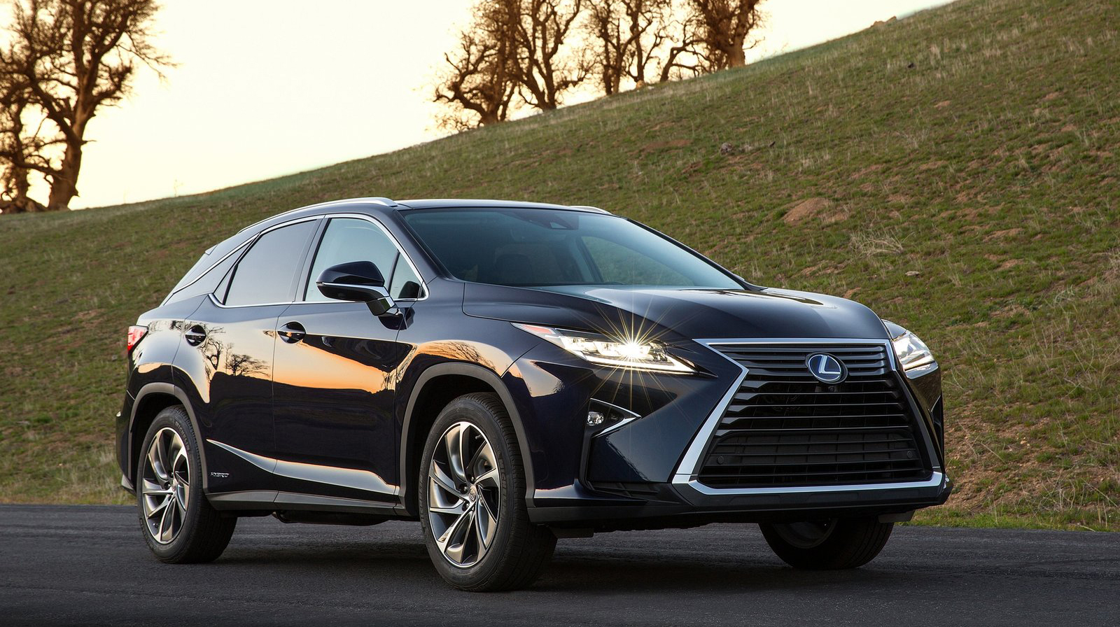 4 mẫu xe “nhấp nhổm” từ Mỹ về Việt Nam Lexus-RX_450h_2016.jpg