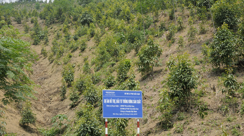 Năm thứ 3 Honda tổ chức “Ngày hội Trồng rừng” tại Bắc Kạn honda-vietnam (15).jpg