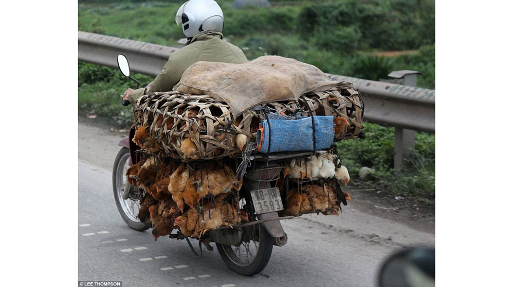 Tây ngỡ ngàng với xe máy ở Việt Nam xe may viet nam (5).jpg