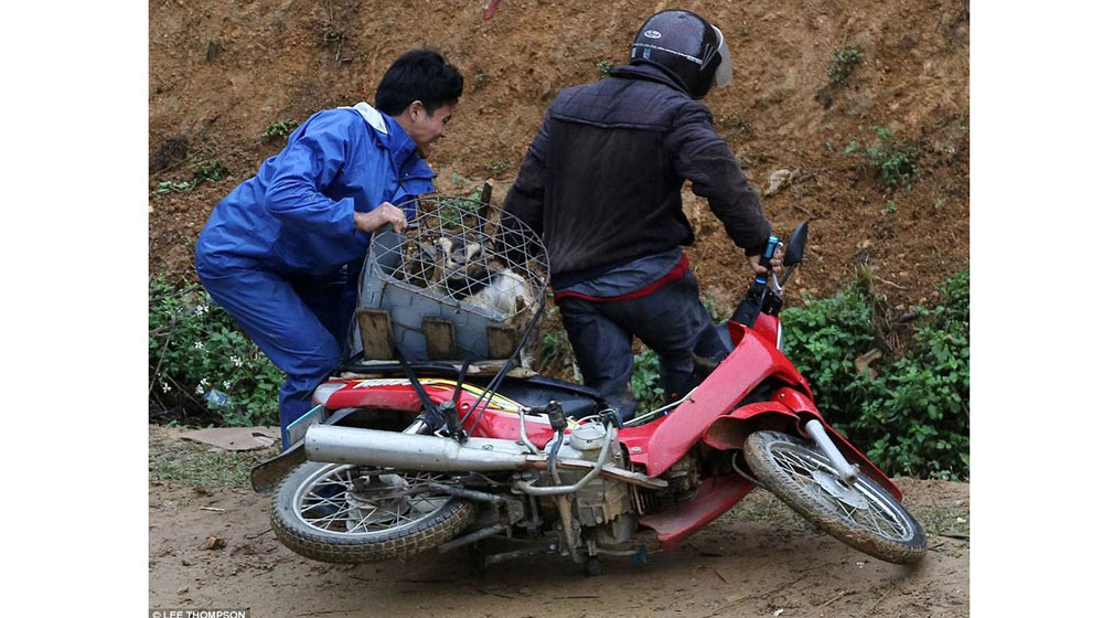 Tây ngỡ ngàng với xe máy ở Việt Nam xe may viet nam (8).jpg