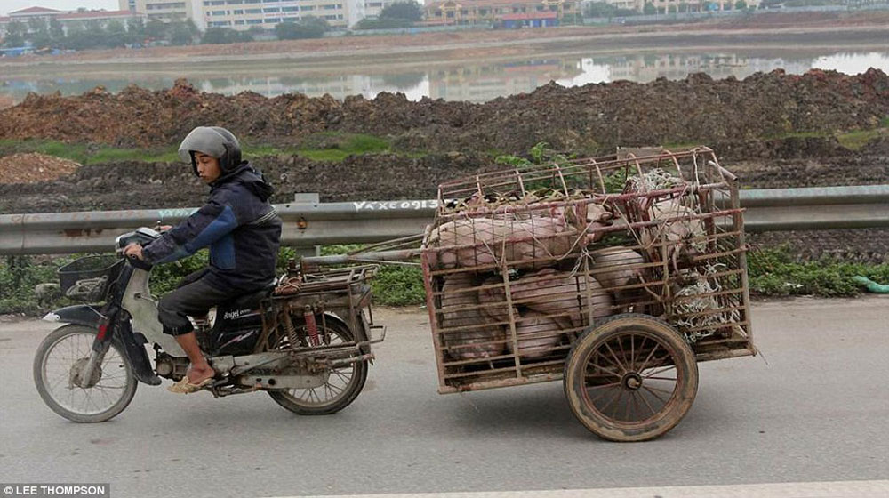 Tây ngỡ ngàng với xe máy ở Việt Nam xe may viet nam (9).jpg