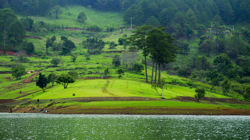 Ảnh Yamaha Tour 2015, ngày 3: Dạo chơi ở Đà Lạt Yamaha Blue Core Touring 2015 ngay 3 (9)-1.jpg