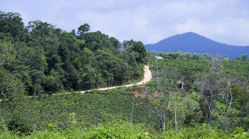 Ảnh Yamaha Tour ngày 2, đi trong nắng Tây Nguyên, mưa đại ngàn Yamaha Blue Core Tourning 2015 ngay 2 (16).jpg