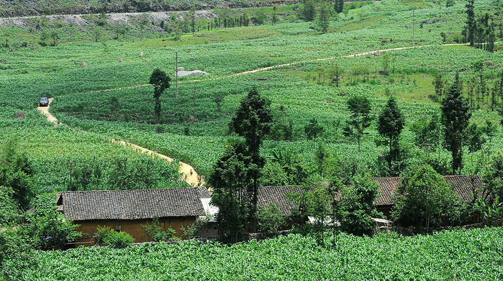 Ảnh vận hành Nissan NP300 Navara SL nissan-navara-np300-sl-(11).jpg