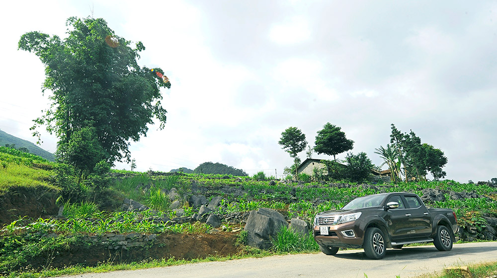 Ảnh vận hành Nissan NP300 Navara SL nissan-navara-np300-sl-(25).jpg