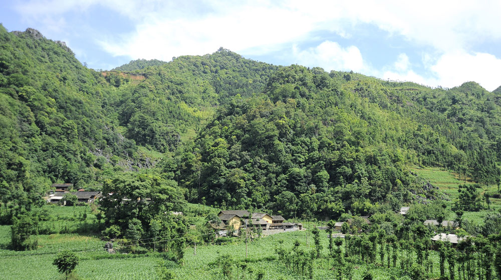 Một chiều ở “nhà của Pao” _DSC8626-copy.jpg