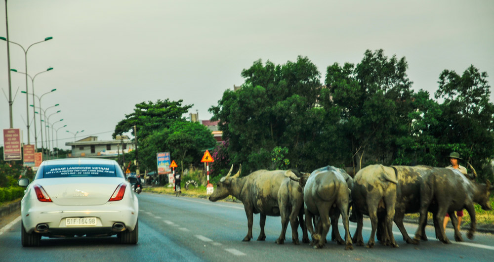 Roadshow Jaguar Land Rover 2015 – về miền Trung 