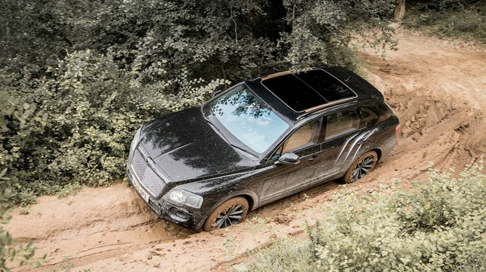 Bentley Bentayga thử làm chiến binh offroad bentaley-bentayga-9.jpg
