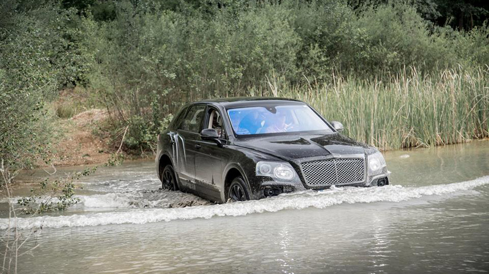Bentley Bentayga thử làm chiến binh offroad bentaley-bentayga.jpg