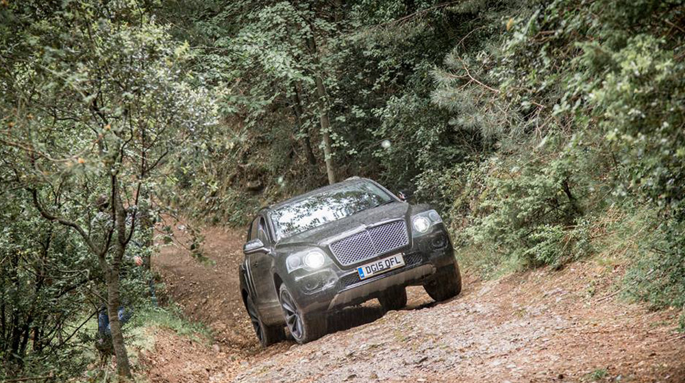 Bentley Bentayga thử làm chiến binh offroad bentley-bentayga-1.jpg