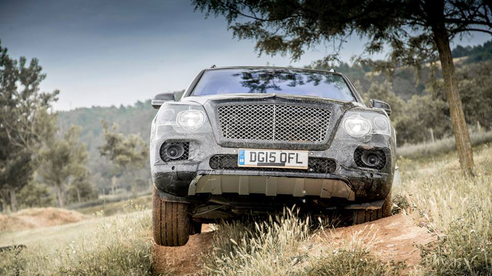 Bentley Bentayga thử làm chiến binh offroad bentley-bentayga.jpg