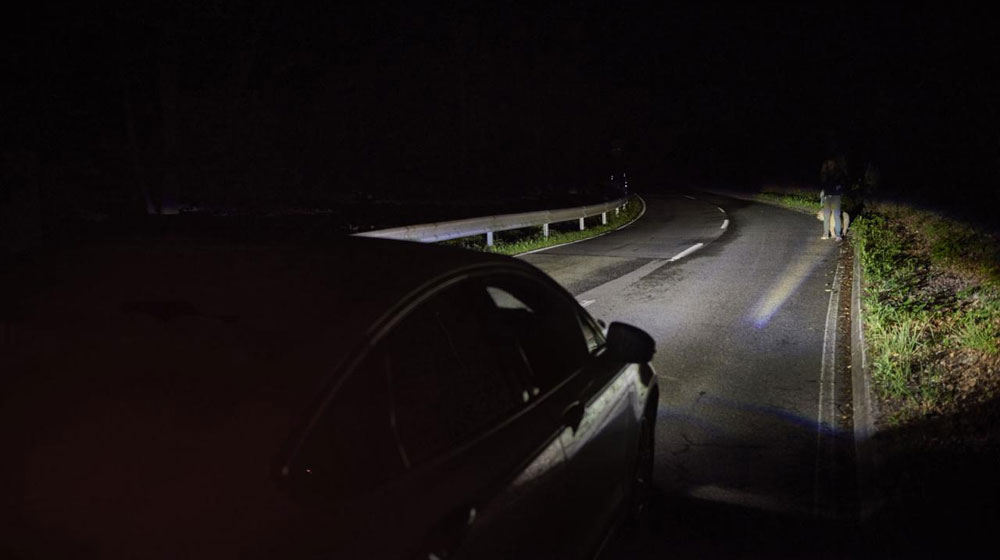 Ford develops advanced front lighting system based on camera ford-front-lighting (3).jpg