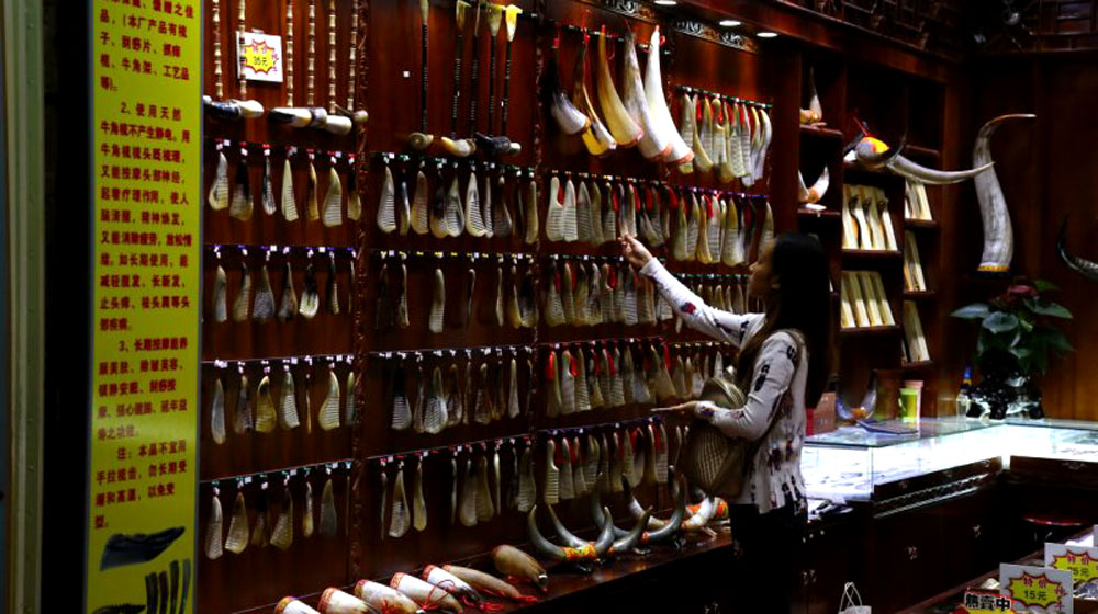 Hành trình lên “nóc nhà thế giới” (P2): Ghé thăm phố cổ Đại Lý ECB-2015-Trip-1-(121).jpg