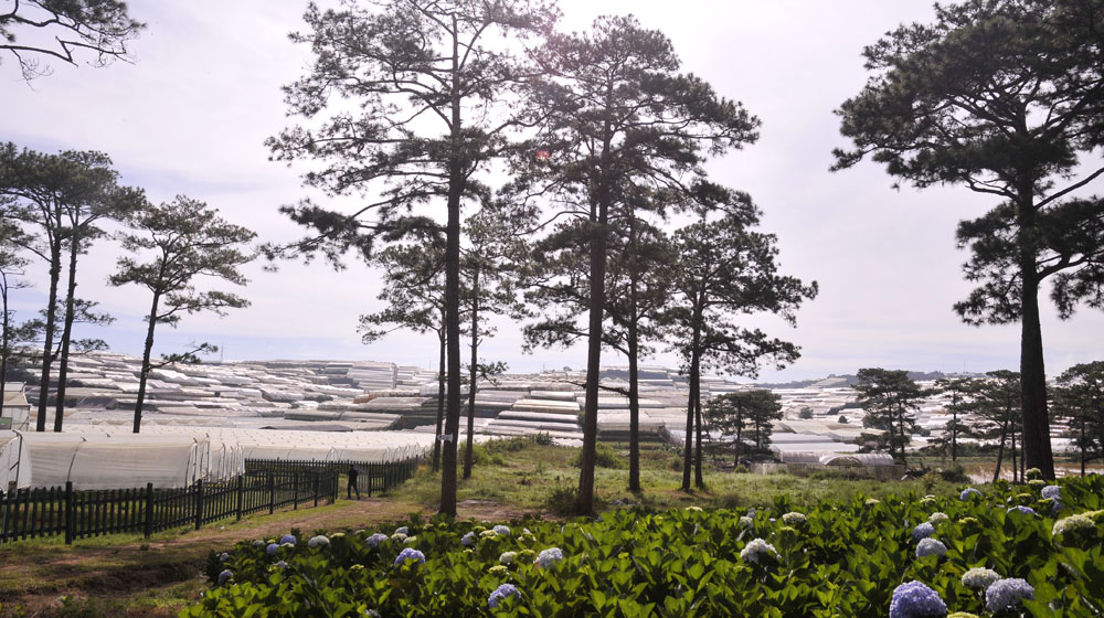 Ảnh Lexus Caravan 2015, ngày 2 lexus-caravan-2015-day2 (1)-2.jpg