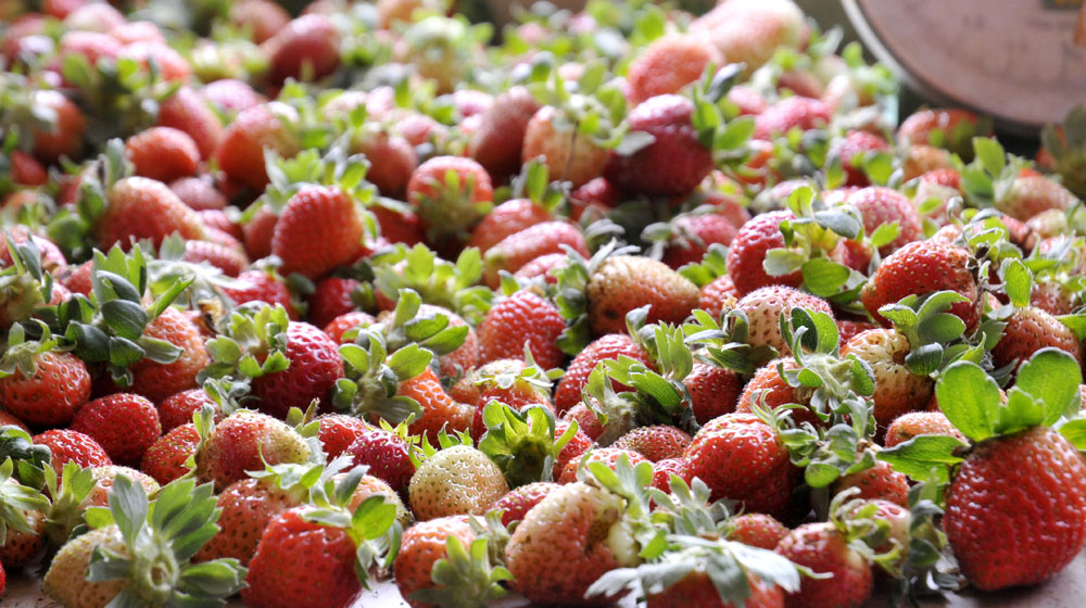 Ảnh Lexus Caravan 2015, ngày 2 lexus-caravan-2015-day2 (3)-2.jpg