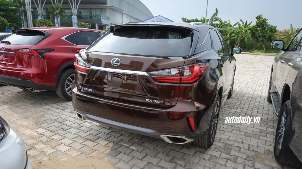 Soi kỹ cặp đôi 