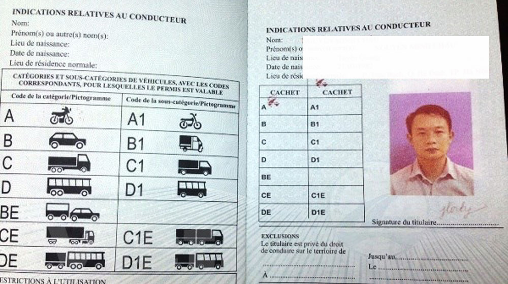 Tài xế Việt có bằng lái xe quốc tế từ hôm nay vnp_bang_lai.jpg