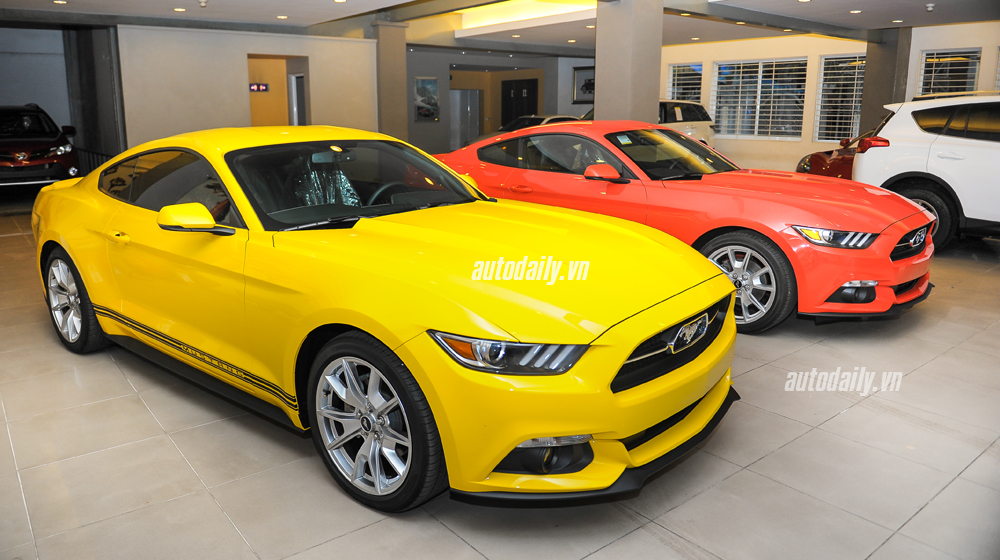 Ảnh chi tiết Ford Mustang bản kỉ niệm 50 năm Ford Mustang bản 50 năm (1).jpg