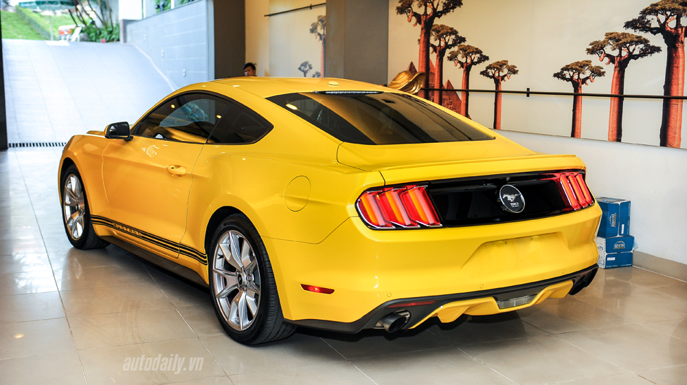 Ảnh chi tiết Ford Mustang bản kỉ niệm 50 năm Ford Mustang bản 50 năm (14).jpg