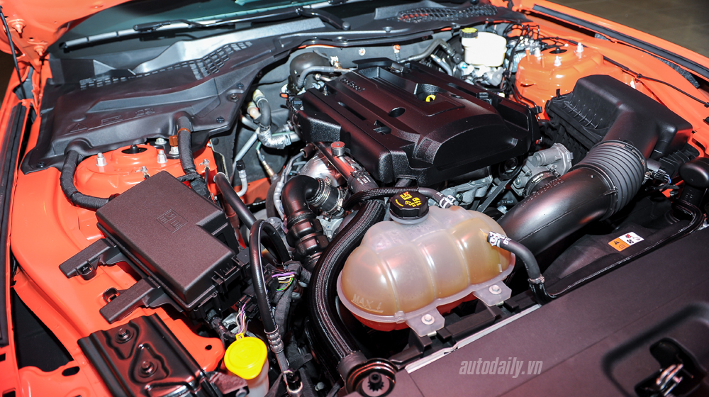 Ảnh chi tiết Ford Mustang bản kỉ niệm 50 năm Ford Mustang bản 50 năm (27).jpg