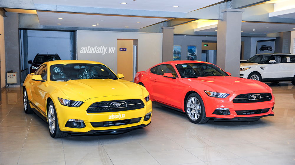 Ảnh chi tiết Ford Mustang bản kỉ niệm 50 năm Ford Mustang bản 50 năm (29).jpg