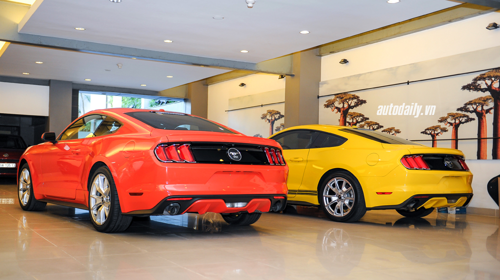 Ảnh chi tiết Ford Mustang bản kỉ niệm 50 năm Ford Mustang bản 50 năm (32).jpg