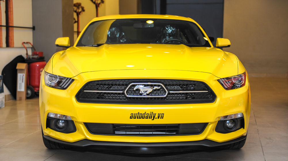 Ảnh chi tiết Ford Mustang bản kỉ niệm 50 năm Ford Mustang bản 50 năm (37).jpg