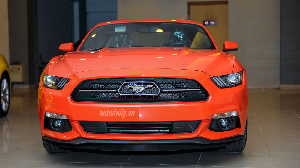 Ảnh chi tiết Ford Mustang bản kỉ niệm 50 năm Ford Mustang bản 50 năm (5).jpg