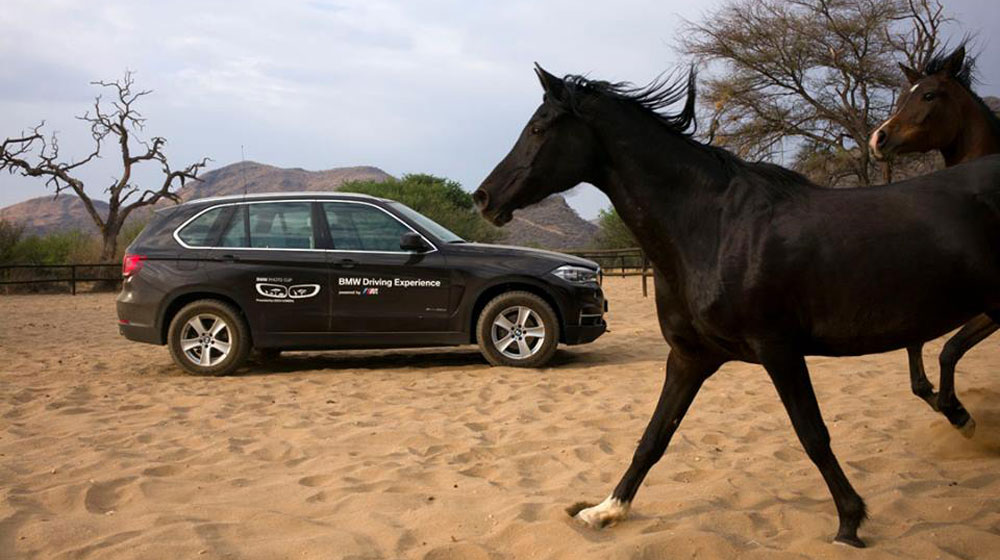 Cách chiều khách độc đáo chỉ có ở thương hiệu hạng sang Tap-trung-vao-trai-nghiem-cua-khach-hang-bang-nhung-dich-vu-chi-tim-thay-o-thuong-hieu-sang-trong-la-muc-tieu-cua-BMW-trong-thoi-gian-toi-1.jpg