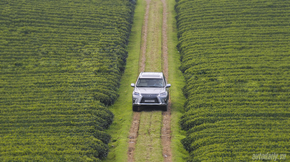 “Lên núi” cùng “chuyên cơ mặt đất” Lexus LX570 Lexus LX570 (10).jpg