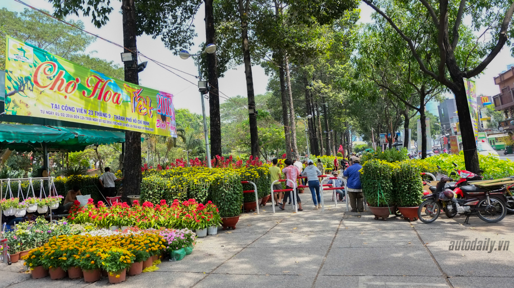 Không khí Tết tràn ngập đường phố Sài Gòn Phong_su_anh_Tet_2016 (14).jpg