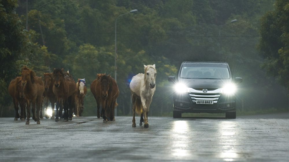 Honda Odyssey – Chuẩn mực mới cho xe gia đình tại Việt Nam Honda Odyssey 2016 (4).jpg