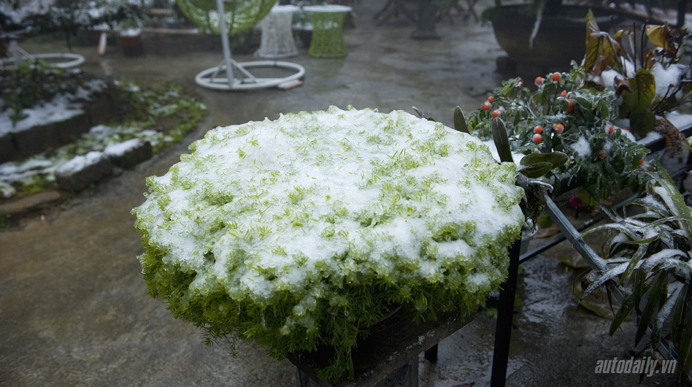 Thử “chất châu Âu” của Peugeot 3008 trên đường tuyết Sapa Peugeot 3008 (11).jpg