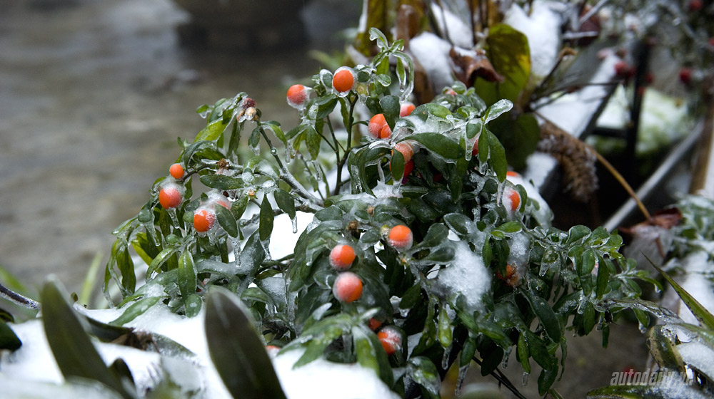 Thử “chất châu Âu” của Peugeot 3008 trên đường tuyết Sapa Peugeot 3008 (12).jpg