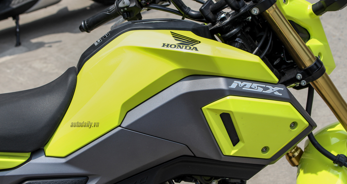 Ảnh chi tiết Honda MSX 125SF 2016 tại Hà Nội Honda MSX 2016 (13).JPG