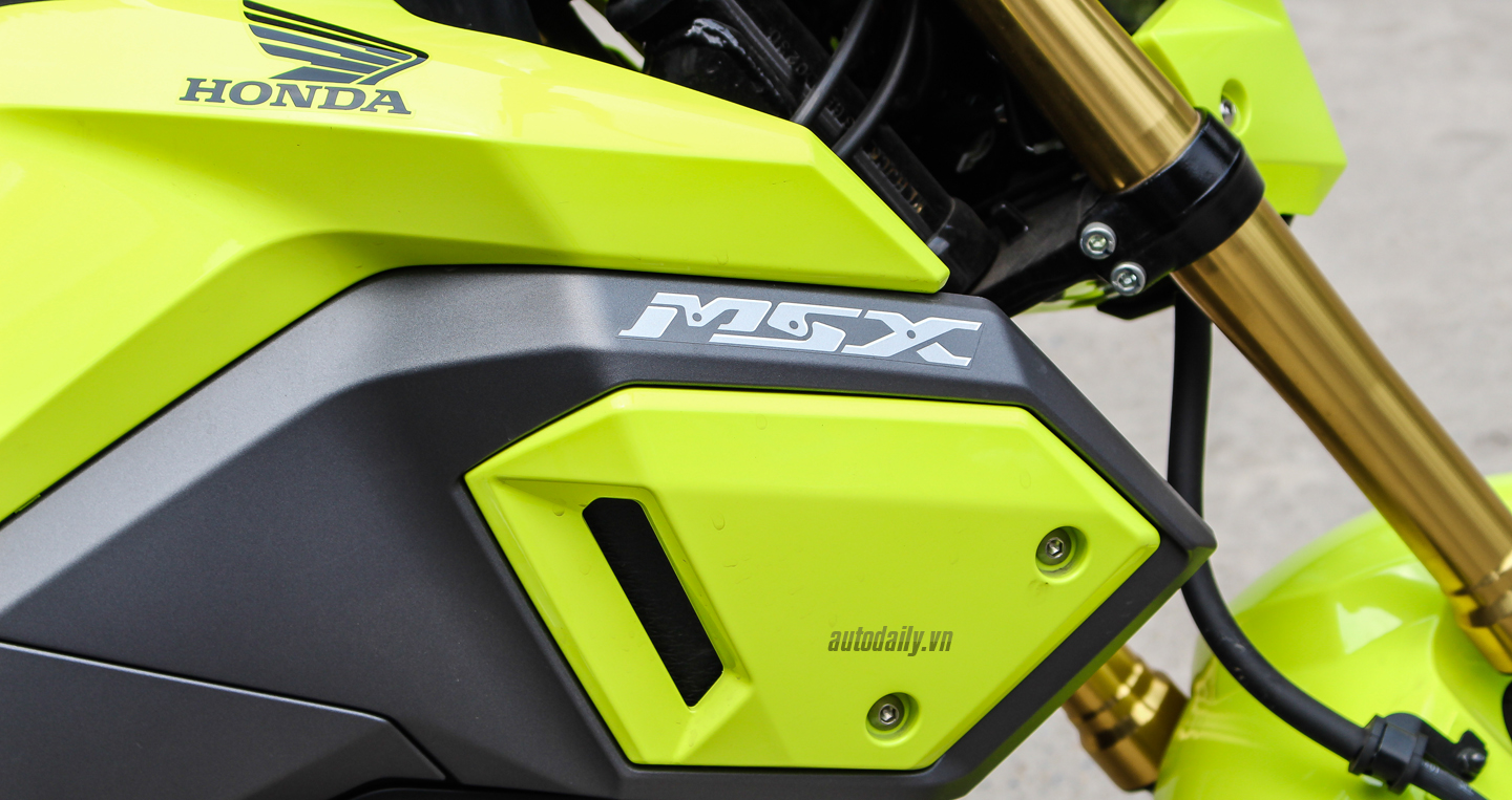 Ảnh chi tiết Honda MSX 125SF 2016 tại Hà Nội Honda MSX 2016 (2).jpg