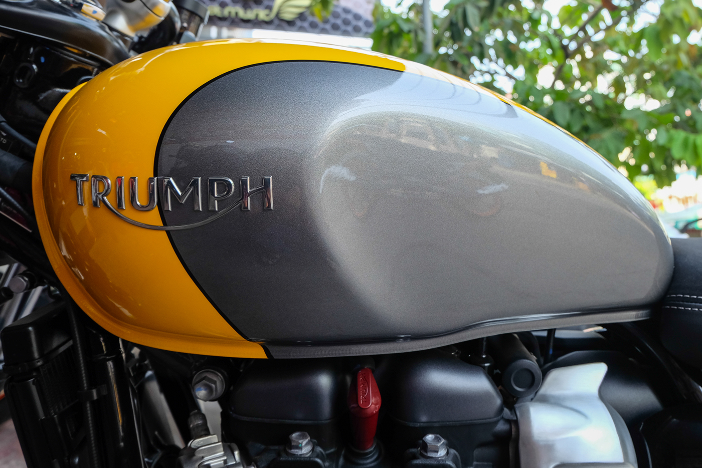 Ảnh chi tiết Triumph Street Cup 2017 giá 450 triệu tại Sài Gòn triumph-street-cup-2017-16.jpg