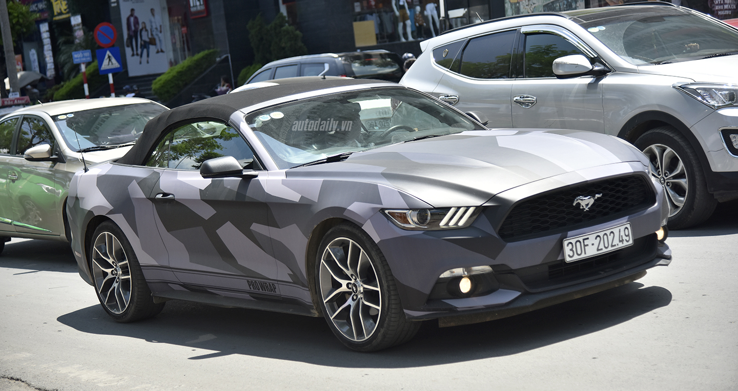 ford-mustang-dsc6779-copy.jpg