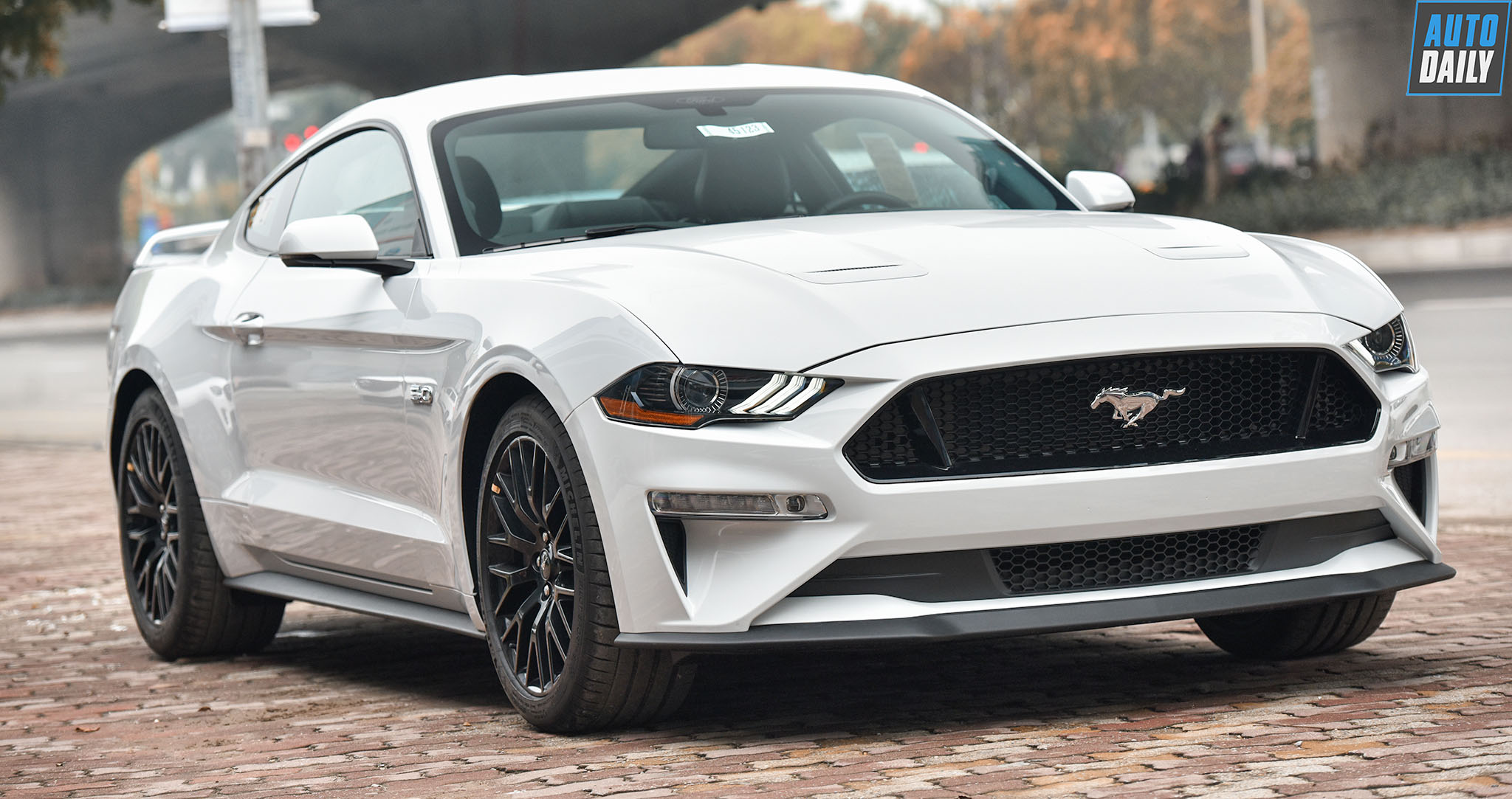 Ford Mustang Gt 2019 Mạnh 460 Mã Lực Về Việt Nam, Giá 4,4 Tỷ