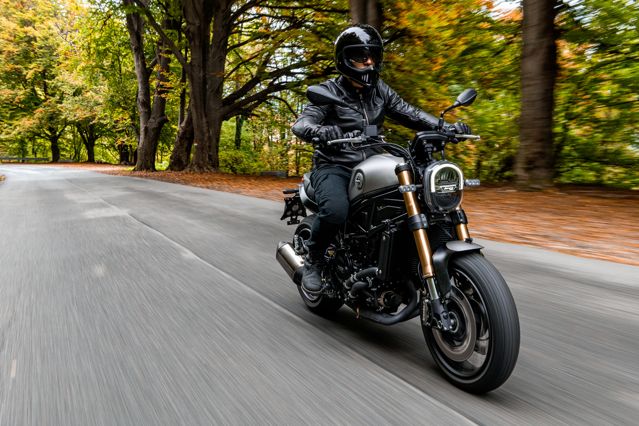 Benelli Leoncino 800 2020 chính thức trình làng tại EICMA 2019 benelli-leoncino-800-2020-11.jpg