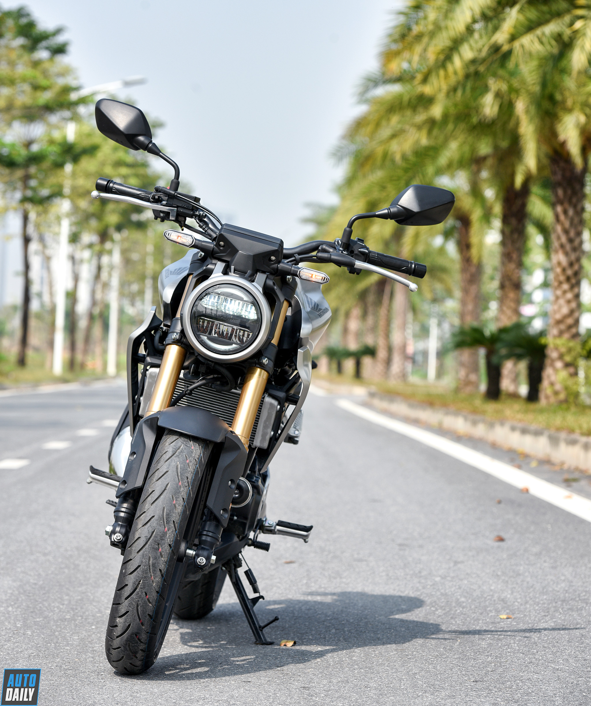 Đánh giá Honda CB300R 2019: Thiết kế đẹp, giá hợp lý dsc-7749-copy.jpg