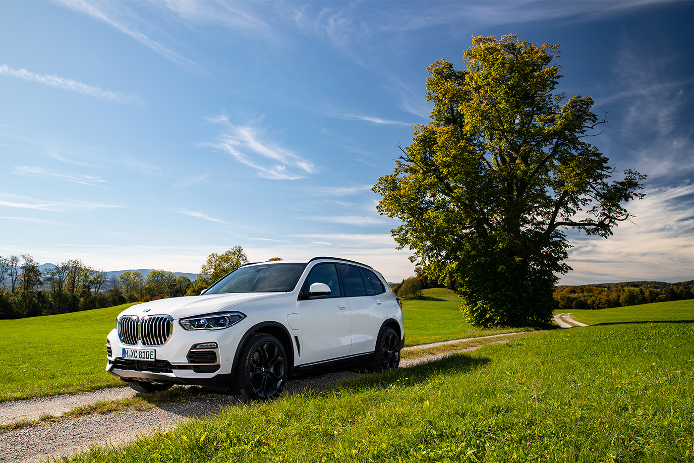 bmw-x5.jpg